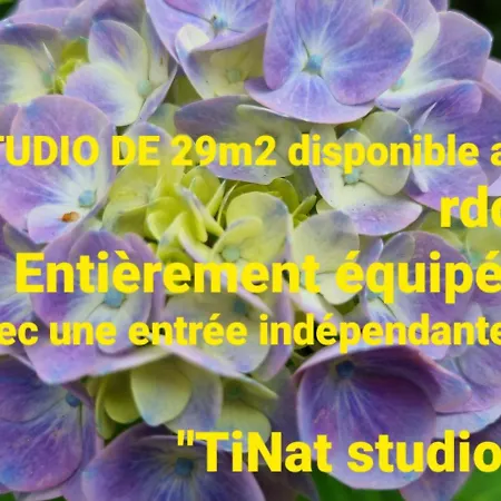 Tinat Bed and Breakfast Douarnenez